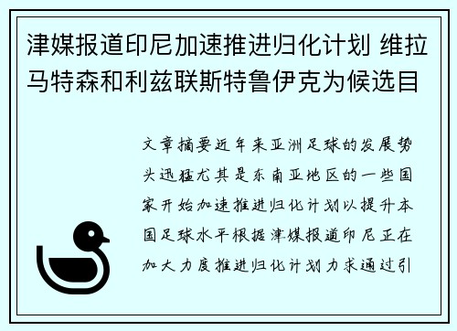 津媒报道印尼加速推进归化计划 维拉马特森和利兹联斯特鲁伊克为候选目标